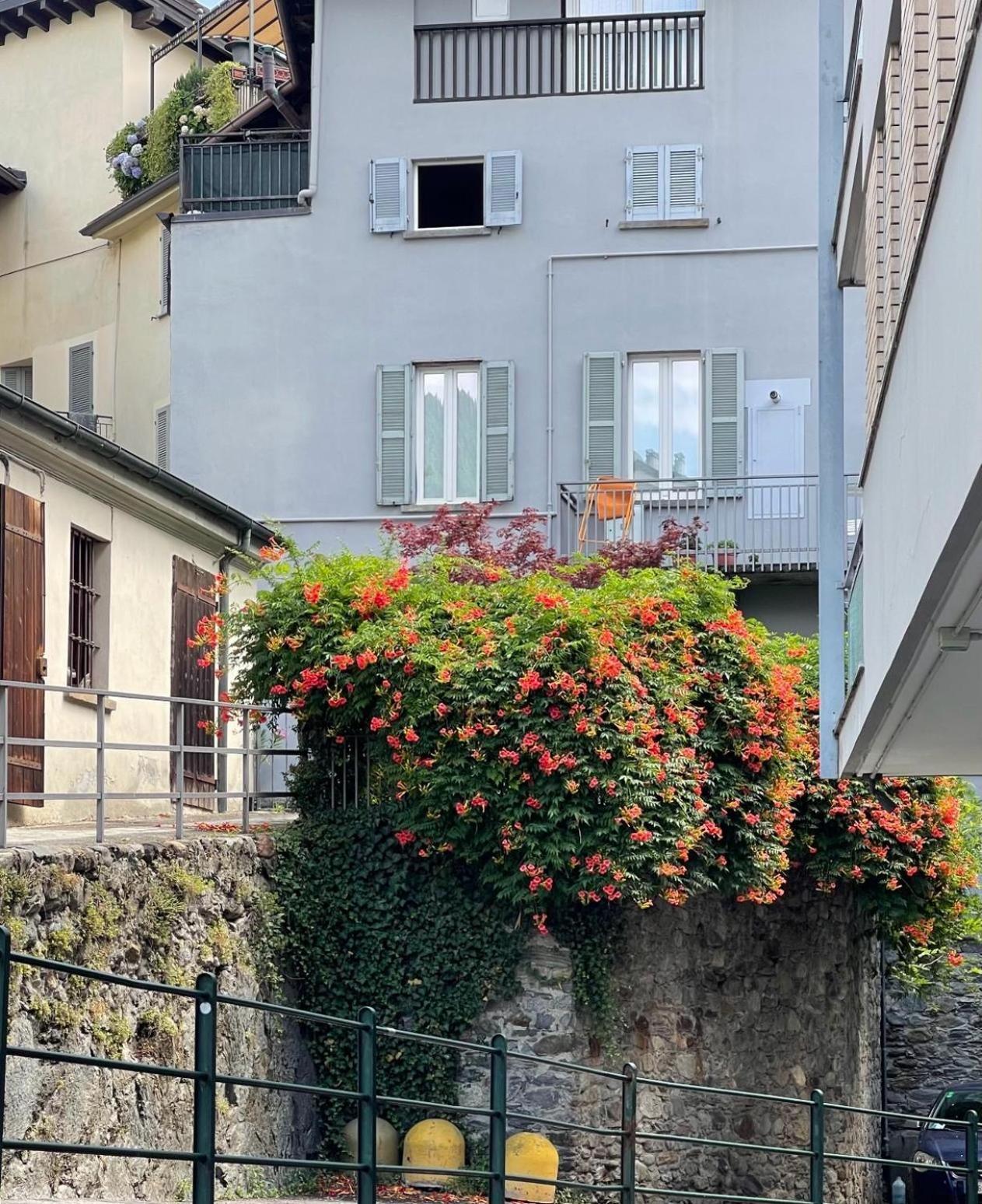 Casa Parravicini Apartment Sondrio Exterior foto